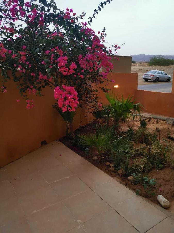 A Wonderful Stay At The Dead Sea Sweimeh Bagian luar foto