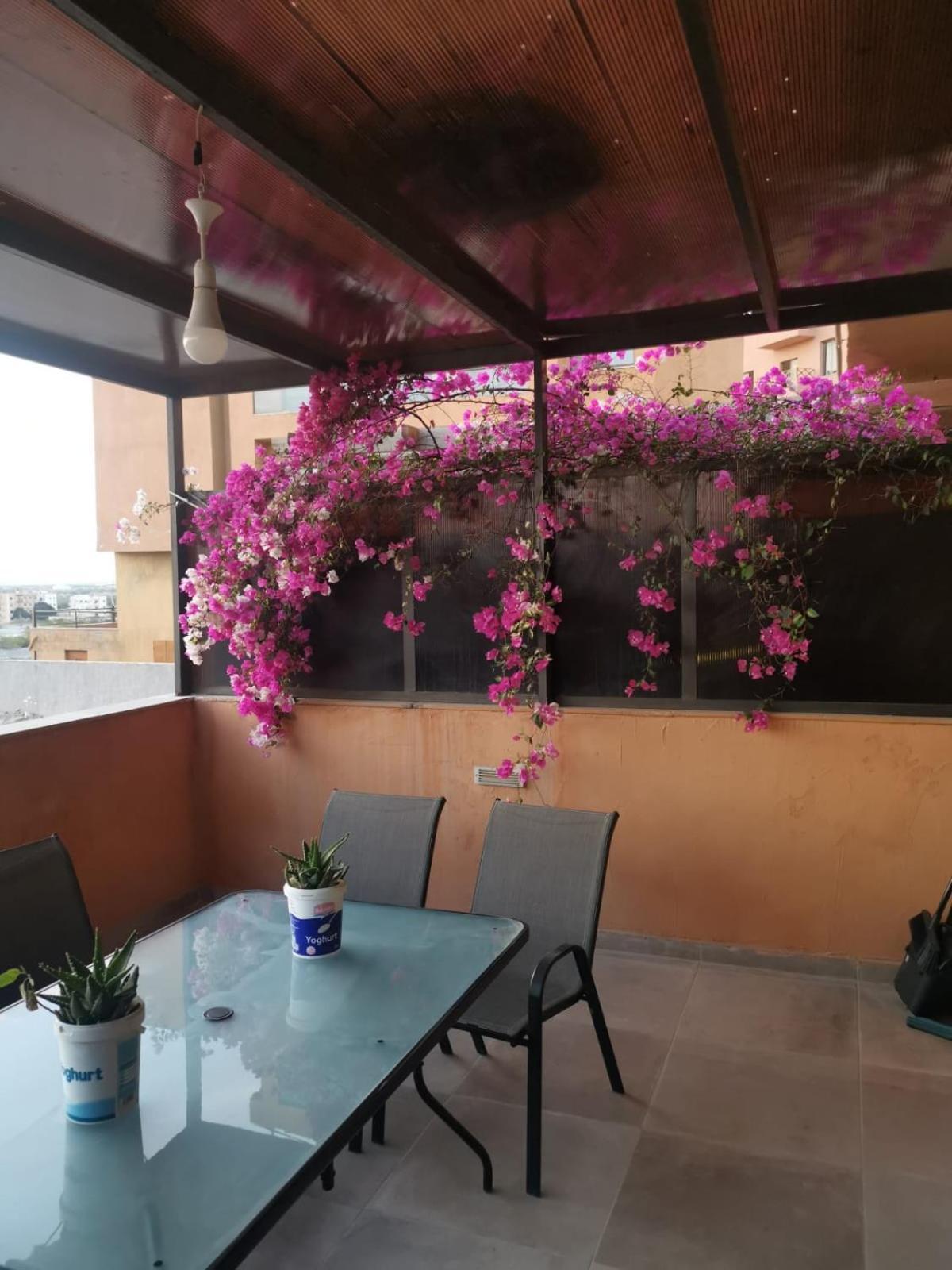 A Wonderful Stay At The Dead Sea Sweimeh Bagian luar foto